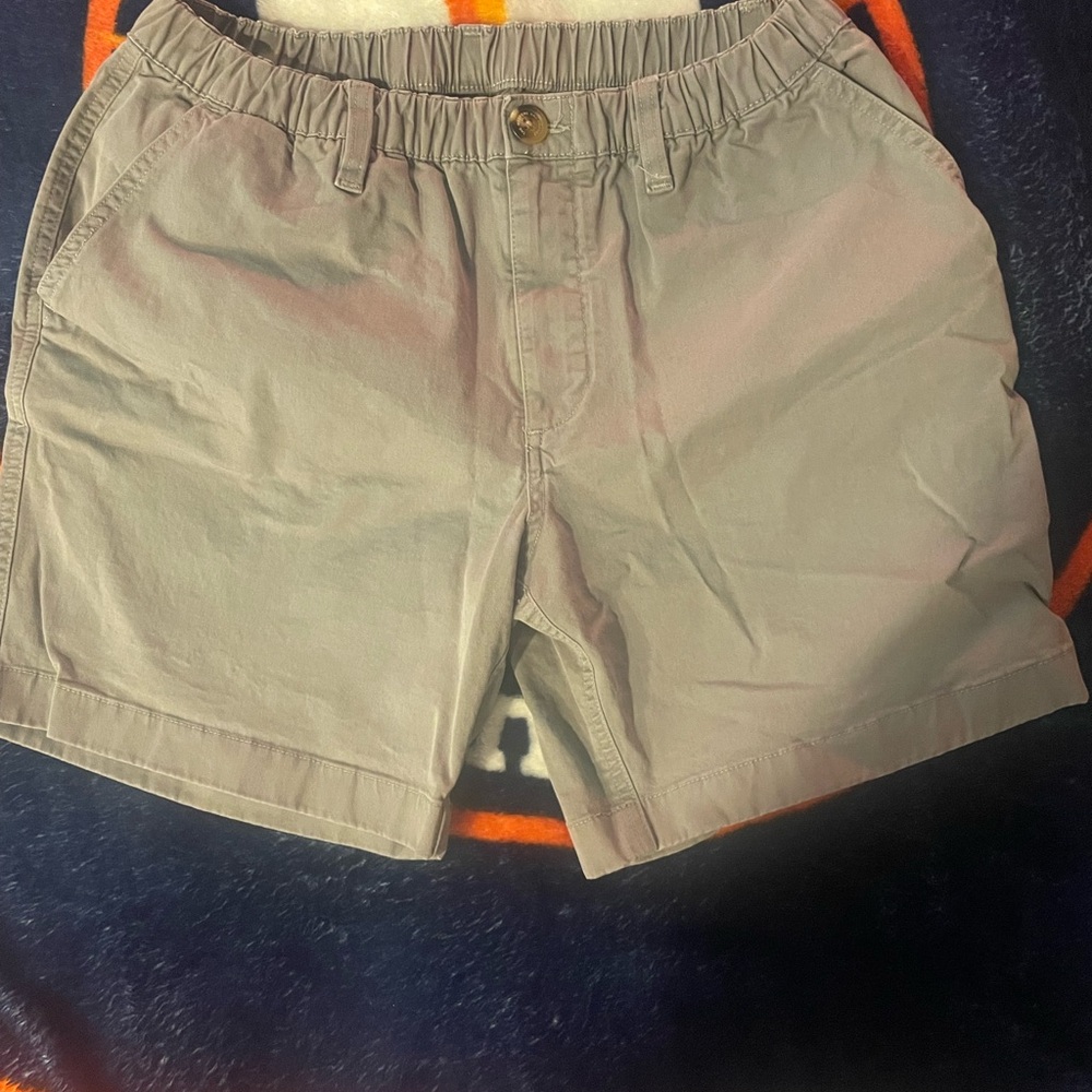 Gray Flat Front Shorts With Elastic Waistband And… - image 1